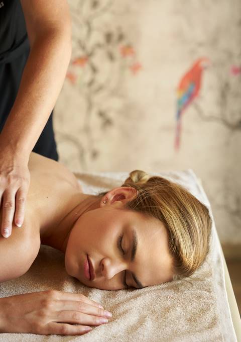 WELLNESS & SPA TREATMENTS